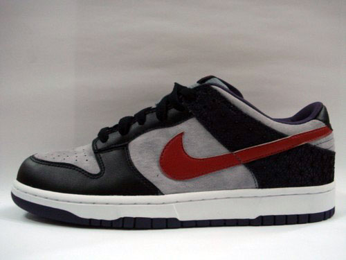 Nike Dunk 6.0 Fall 2008 Preview