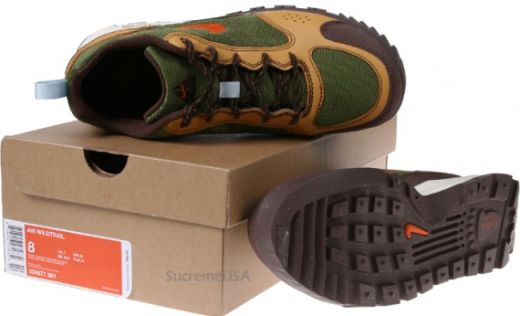 Nike Air Wildtrail Hiking Shoe