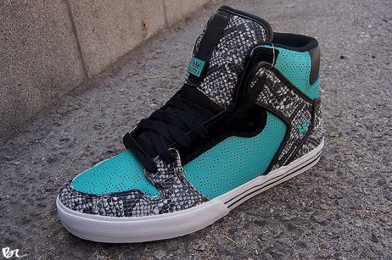 Supra shop society snakeskin