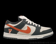 Dunk Low Sb Eire