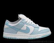 Dunk Low Sb High Hair