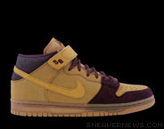 nike sb dunk june 2006