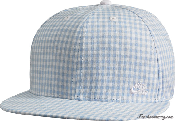 nike-sb-june-09-gingham-fitted-blue