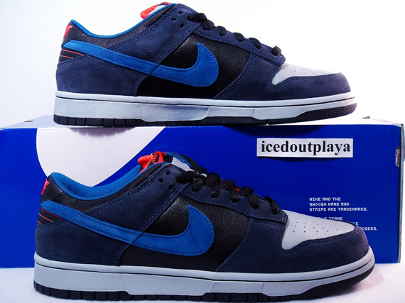 nike sb dunk low patagonia