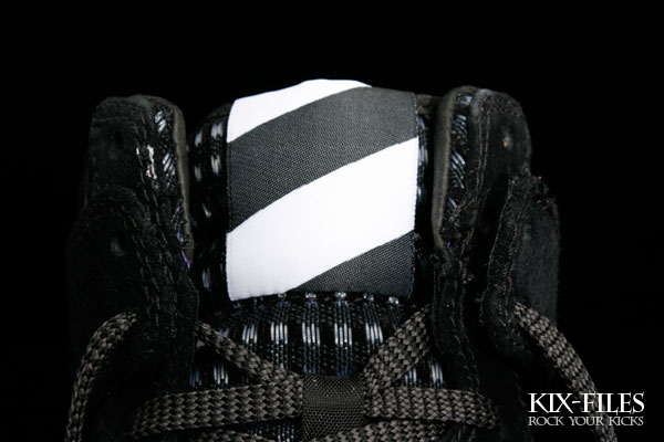 nike-dunk-hi-sprm-tz-arc-alife-4