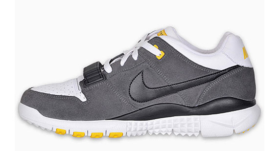 nike-trainer-dunk-low-livestrong-4