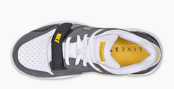 nike-trainer-dunk-low-livestrong-6