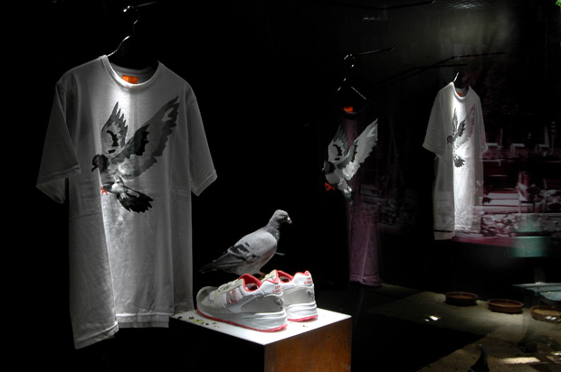 limiteditions-staple-new-balance-white-pigeon-575-installation-5