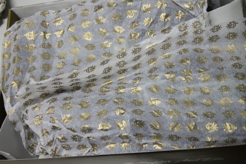 manny-trainer-1-lights-out-05 manny-trainer-1-lights-out-05