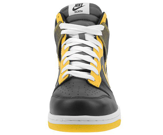 Nike SB 2009 Dunk High North Shoe