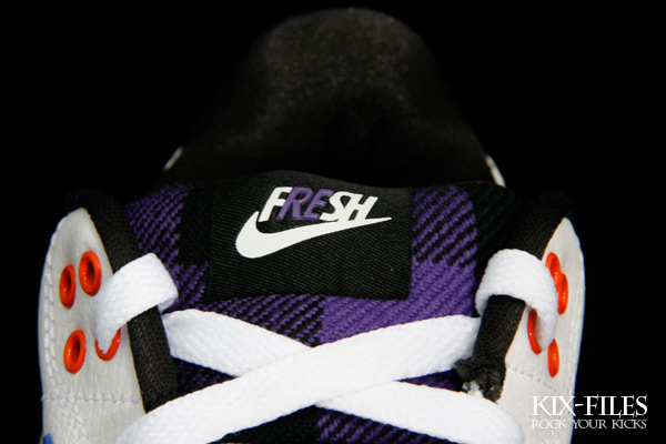 Nike Cradle Rock Low Steve Nash – Phoenix Suns Home