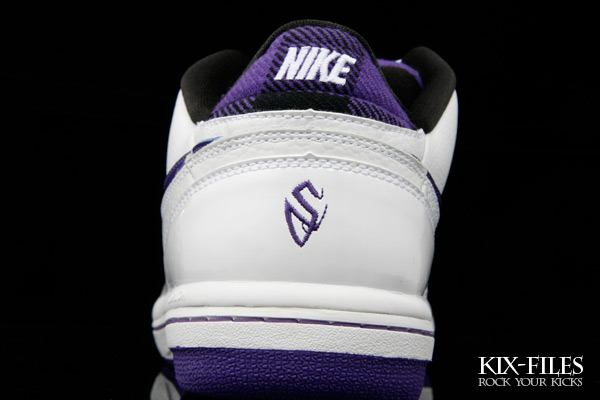 nike-steve-nash-cradle-rock-home-5
