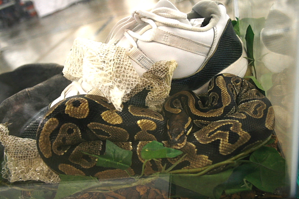 nc-sneaker-summit-24 nc-sneaker-summit-24