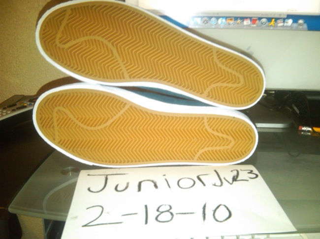 Blazer SB Sole