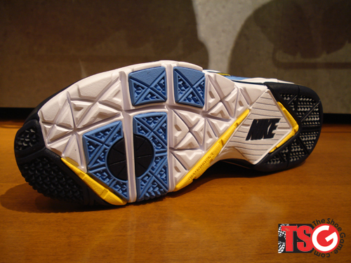 ladainian tomlinson nike cleats