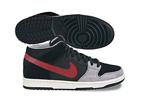 NIKE SB HOLIDAY 2010 20