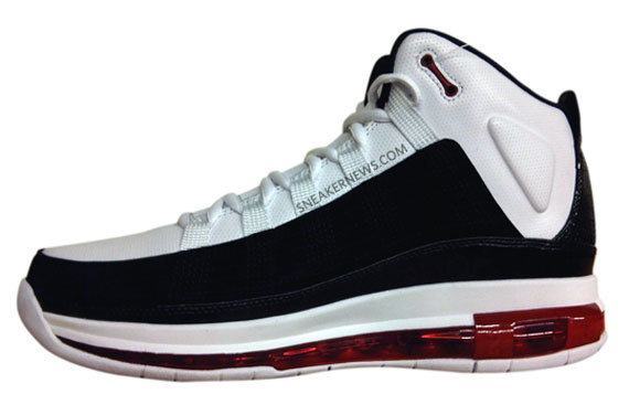 air jordan take flight 2010