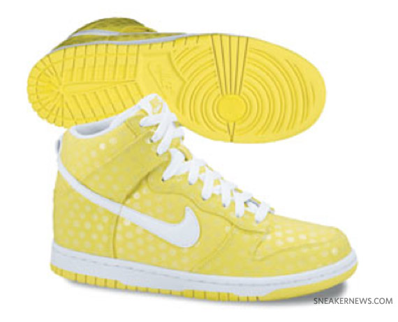 Nike Dunk High Fall 2010 Preview 01