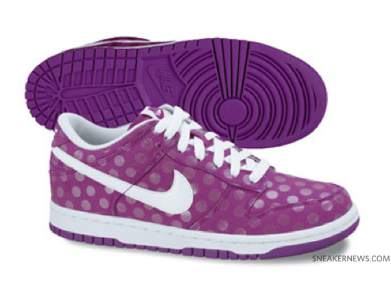 Nike Dunk Low Fall 2010 Preview 14