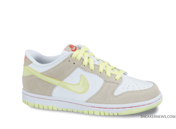 Nike Dunk Low Fall 2010 Preview 15