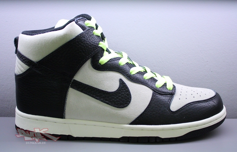 Nike Dunk Hi Fall 2010 01