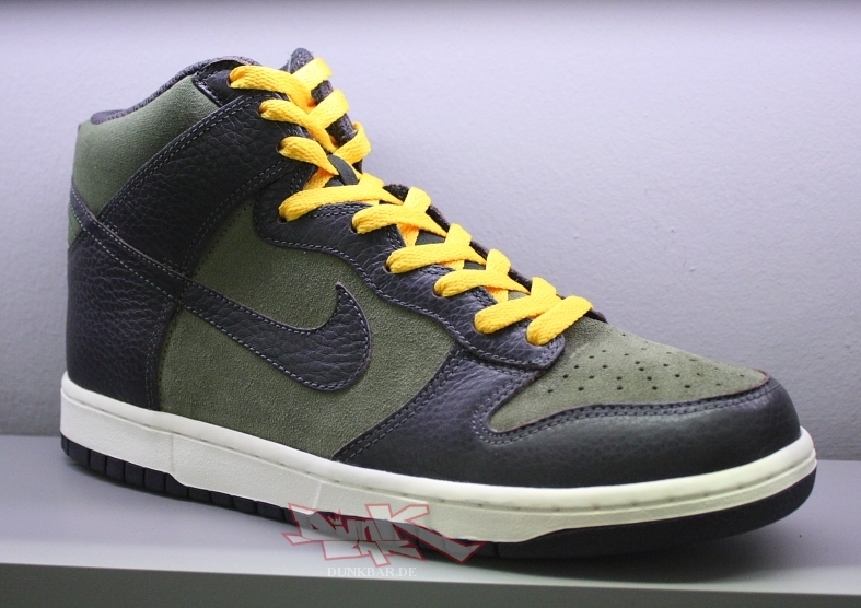 Nike Dunk Hi Fall 2010 03