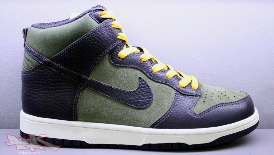 Nike Dunk Hi Fall 2010 04