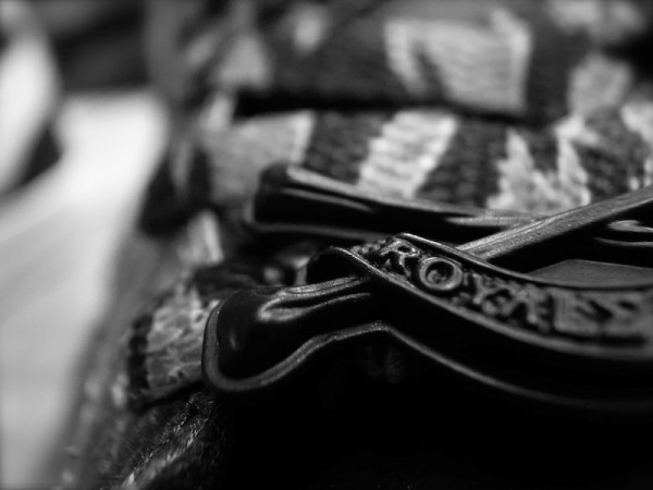 Nike Sbtg Aristocrat Custom 03