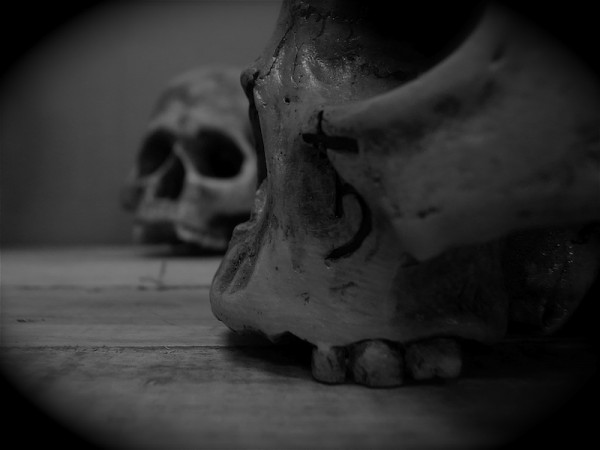 Nike Sbtg Aristocrat Custom 05