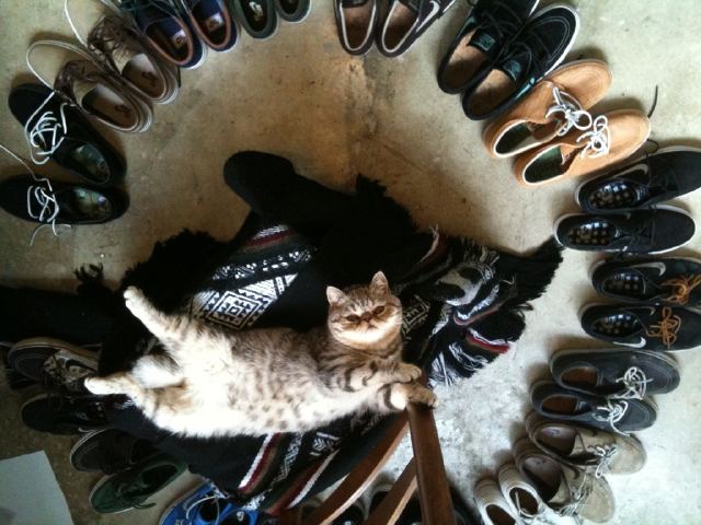 stefan-janoski-personal-collection-01 Stefan Janoski Personal Collection 01