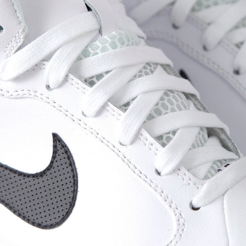 Nike Sb Prd4 White 5