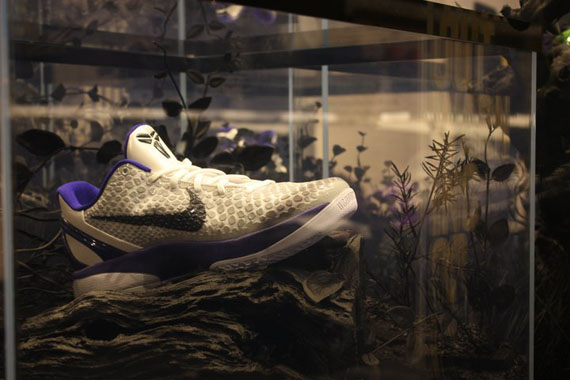 Nike Kobe Vi Vault Display 10