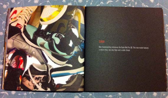 Nike Sb Dunk Book Look 05