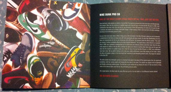 nike dunk book