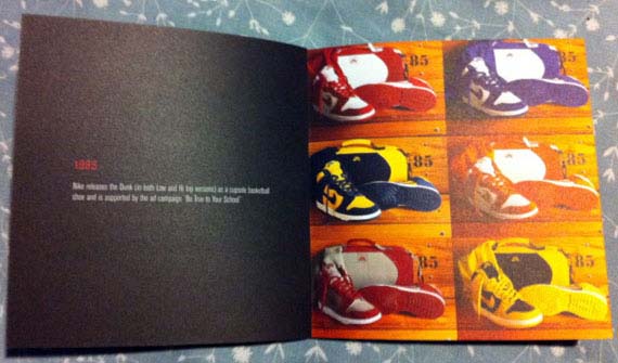 Nike Sb Dunk Book Look 18