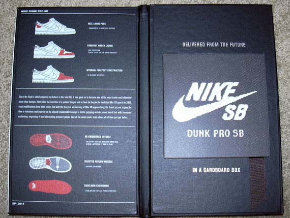 nike dunk book