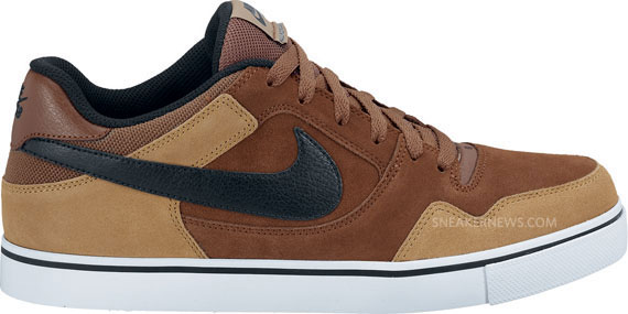 Nike Sb Jan 2011 New 10