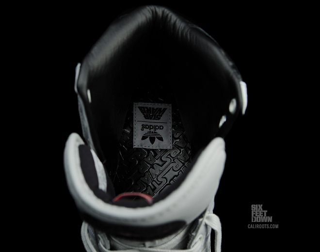 2494320110117142338218176_L 2494320110117142338218176 L