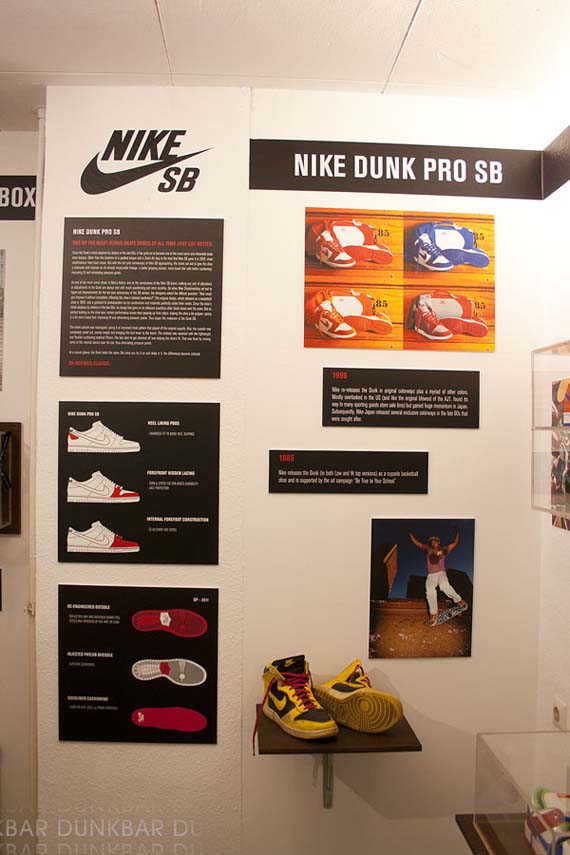 Nike Sb Dunk Exhibit Bright 14