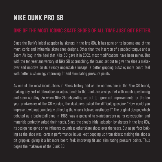 Nike Sb Dunk Pro Book 02