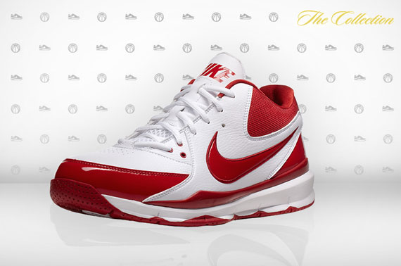 Nike Zoom Go Low Aaron Brooks Pe 05