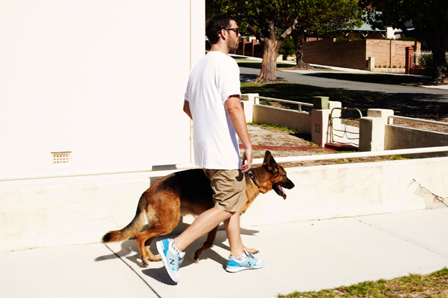 hal-night-and-day-1-1 Hal Night And Day 1 1