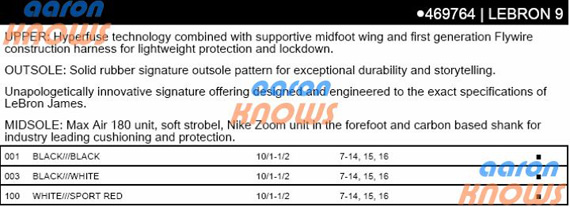 Nike Lebron 9 Tech Sheet Info 01