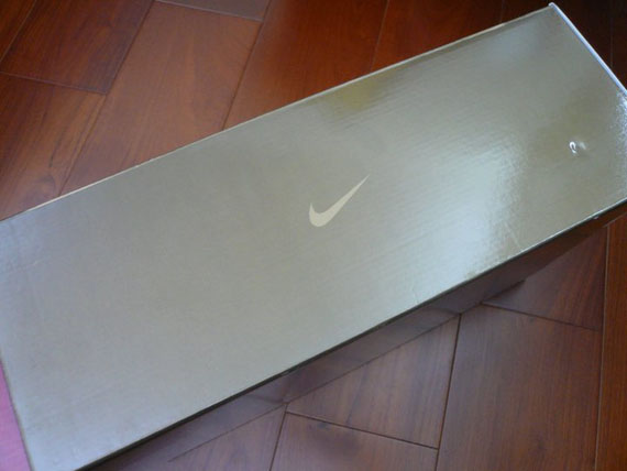 Nike Lebron 8 Ps Dunkman K 01