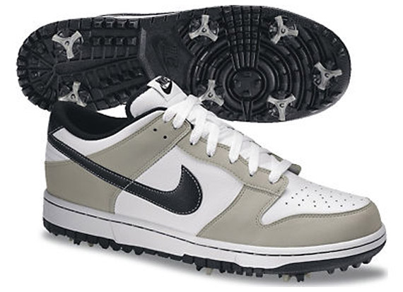 Nike Dunk Ng Spring 2012 1