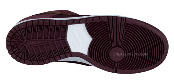 Nike Sb July 2011 Footwear Releases 14