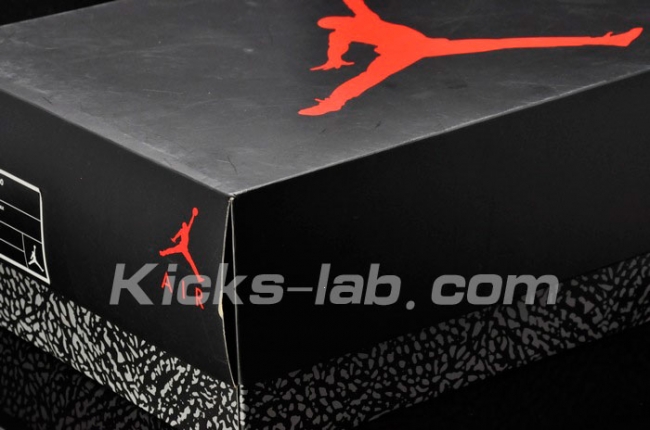 Air Jordan 3 Black Cement 11
