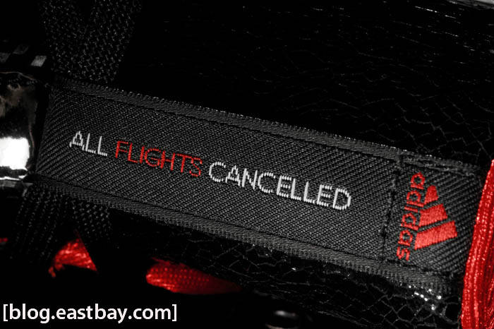 adidas-adizero-rose-2.0-pre-order-4 Adidas Adizero Rose 2.0 Pre Order 4