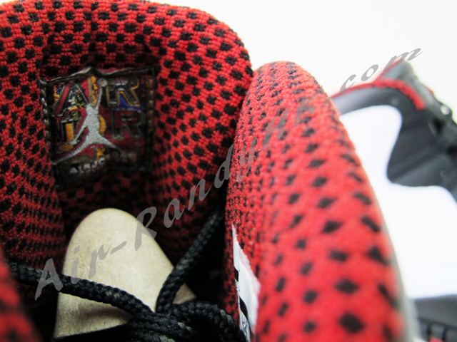 Air Jordan 10 Chicago 8