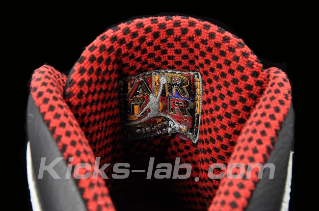 Air Jordan 10 Retro Chicago 8